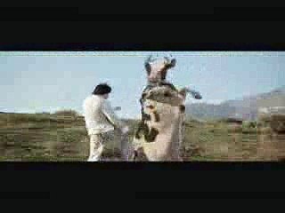 Cow-Matrix