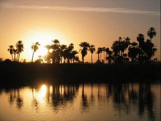 أنزلت آية الهدى - محمد عبدالوهاب