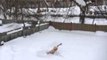 Man Takes a 'Swim' in Some Snow