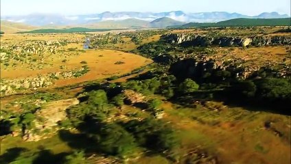 Hayatın Hızı: Güneybatının Yırtıcıları