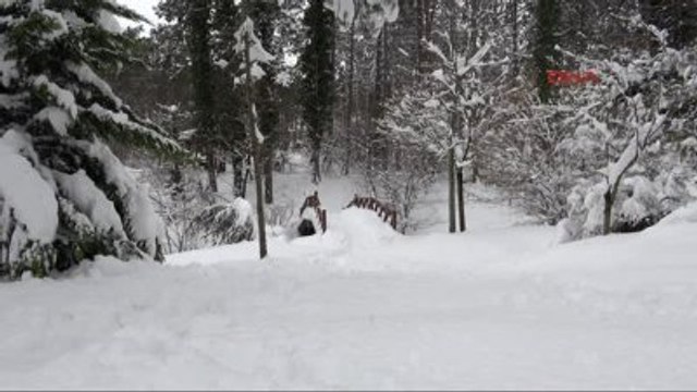 İzmit'te İşçiler Kıdem Tazminatı İçin Yürüdü