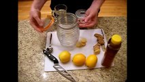 Homestead Series - Honey Lemon Ginger Cough Syrup