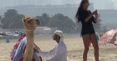 Deve ile Dubai'de Kız Tavlamak