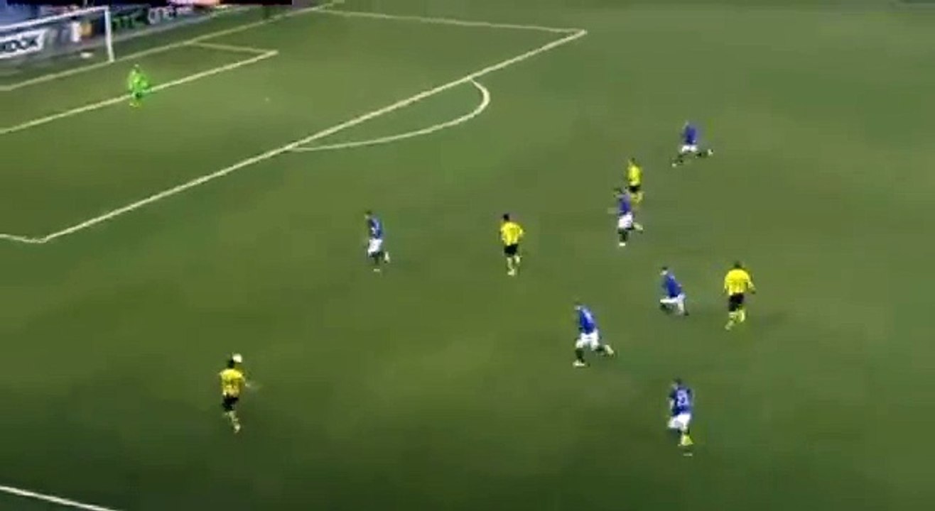 Guillaume Hoarau Great Goal - Young Boys vs Everton 1-0 (Europa League) 2015