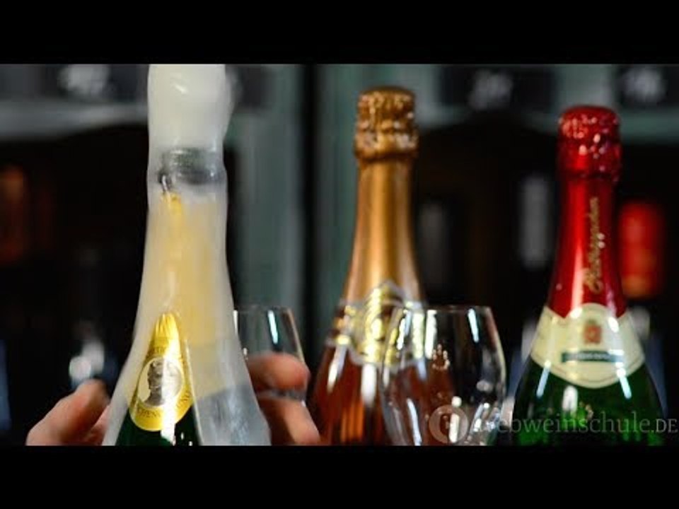 Weinschule Folge 3: Alles über Sekt!
