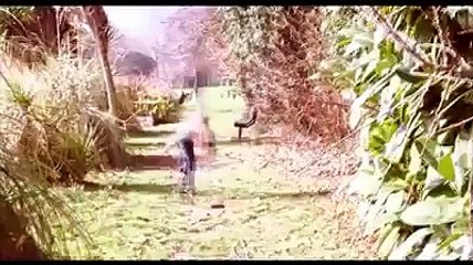 What a woman... look like bruce lee