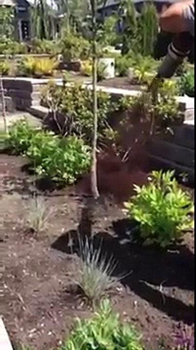 Bark Mulch Delivery - Triple Five Quality Wood