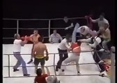 This boxing match escalated quickly... The referee takes no prisoners!