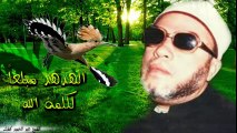 الشيخ عبد الحميد كشك / الهدهد مبلغاً لكلمة الله