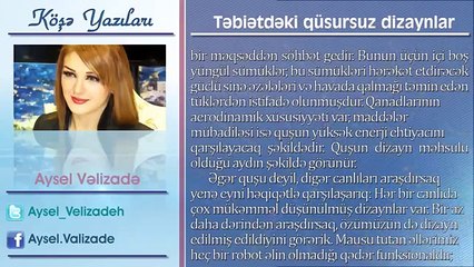 Aysel Vəlizadə - Təbiətdəki qüsursuz dizaynlar