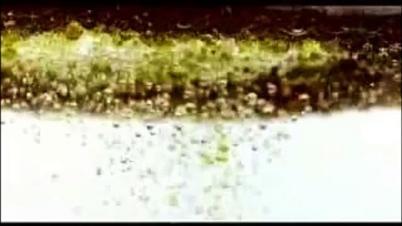 Deutsch Amerikanische Freundschaft (DAF) - Der Sheriff (HQ sound)