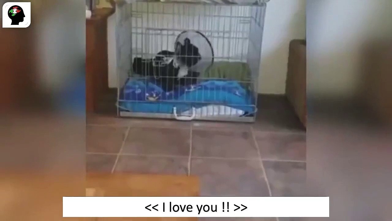 I love You