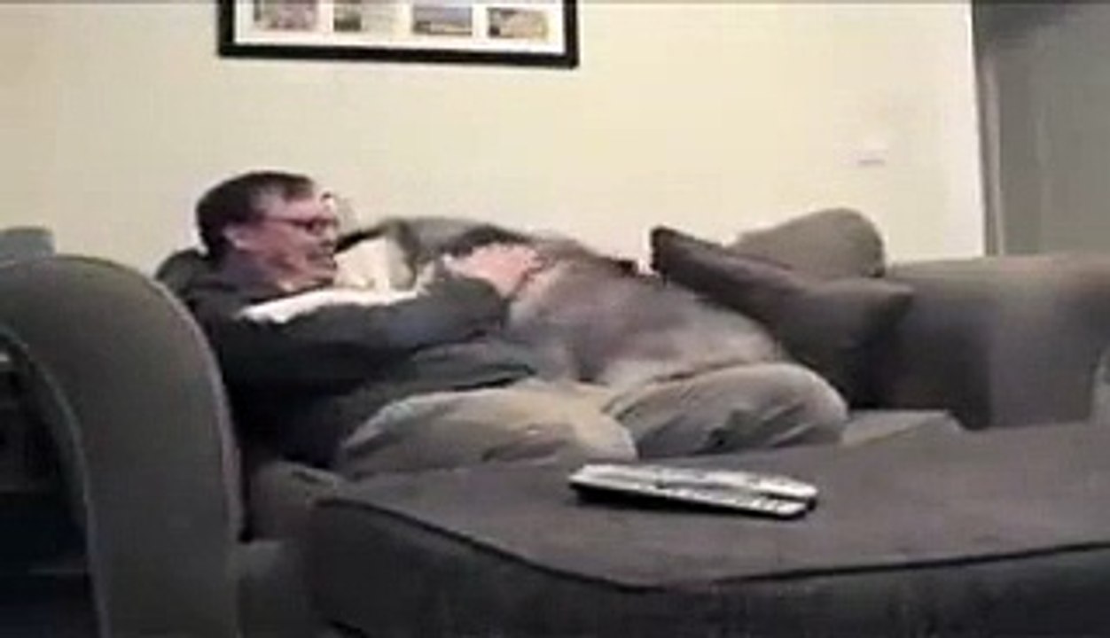 Sometimes all you need after work is a good cuddle!