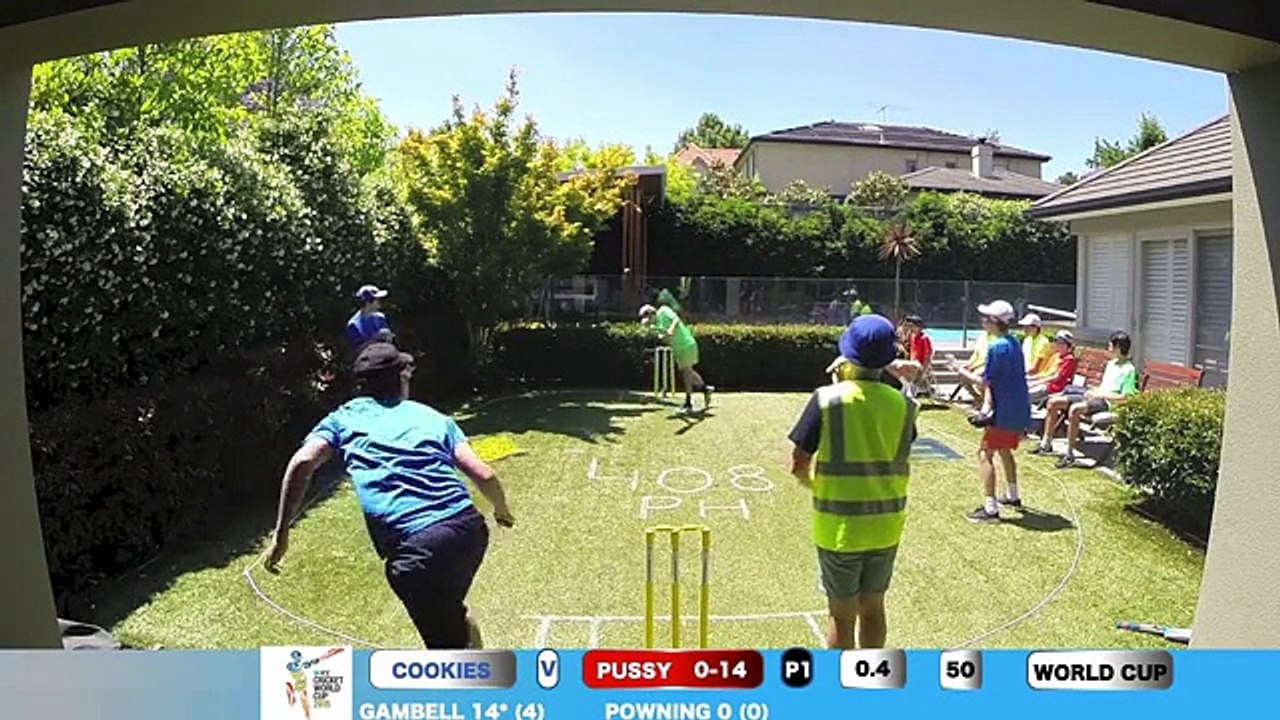 Backyard Cricket World cup game 4