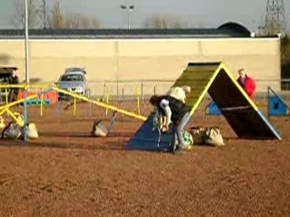 Berlioz en agility (2e partie)