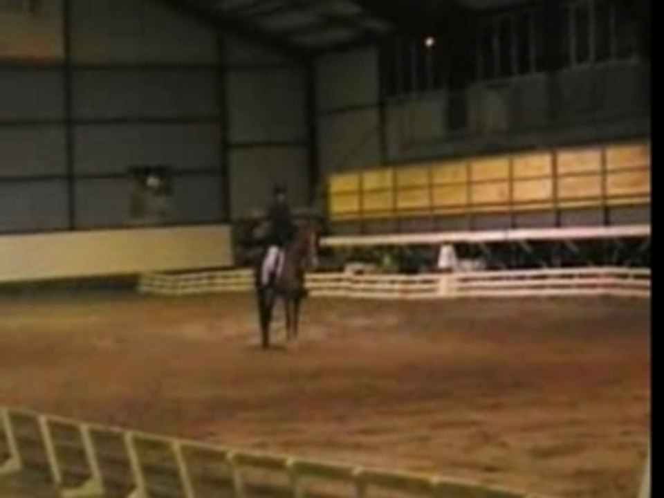 Cesar, dressage E1