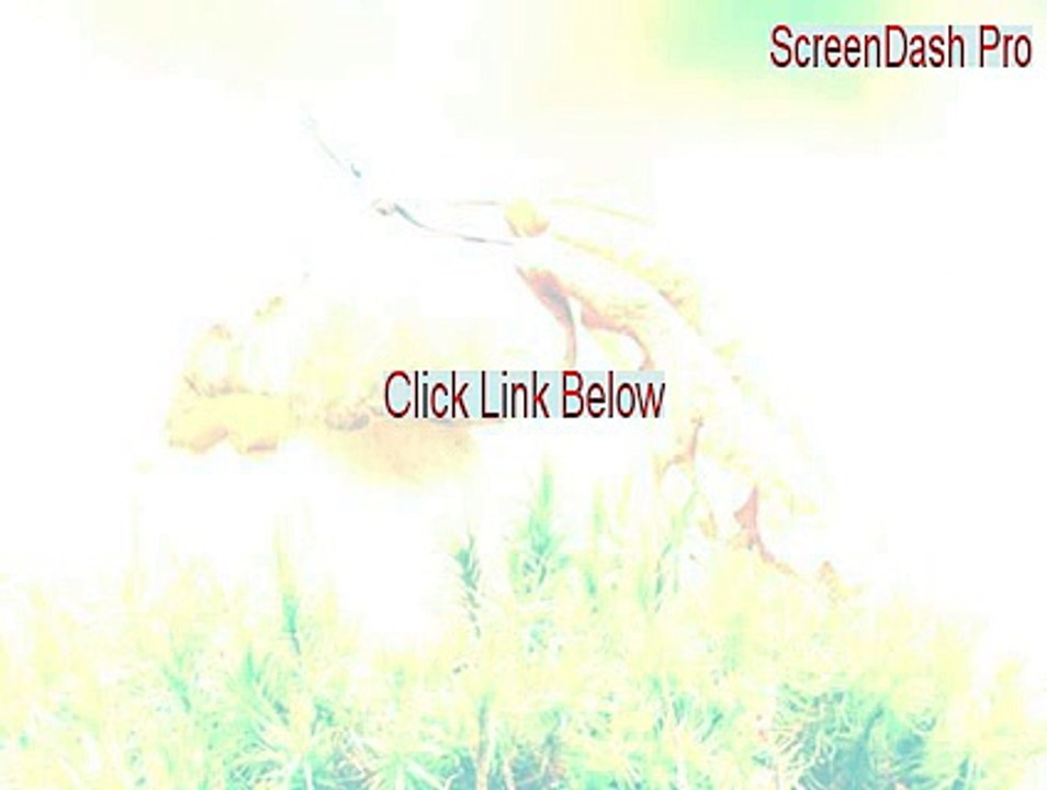 ScreenDash Pro Full - Legit Download (2015)