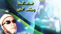 الشيخ عبد الحميد كشك / فضالة وملك الجن