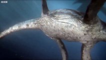 Predator X hunts in deep water - Planet Dinosaur -BBC