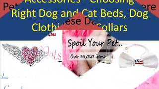 Buy Pet Products Online in Australia