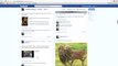 Facebook for Business - Sharing content, sweepstakes, coupons, and more