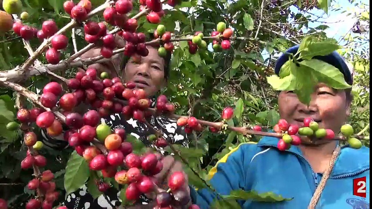 France 2 Pékin - le café
