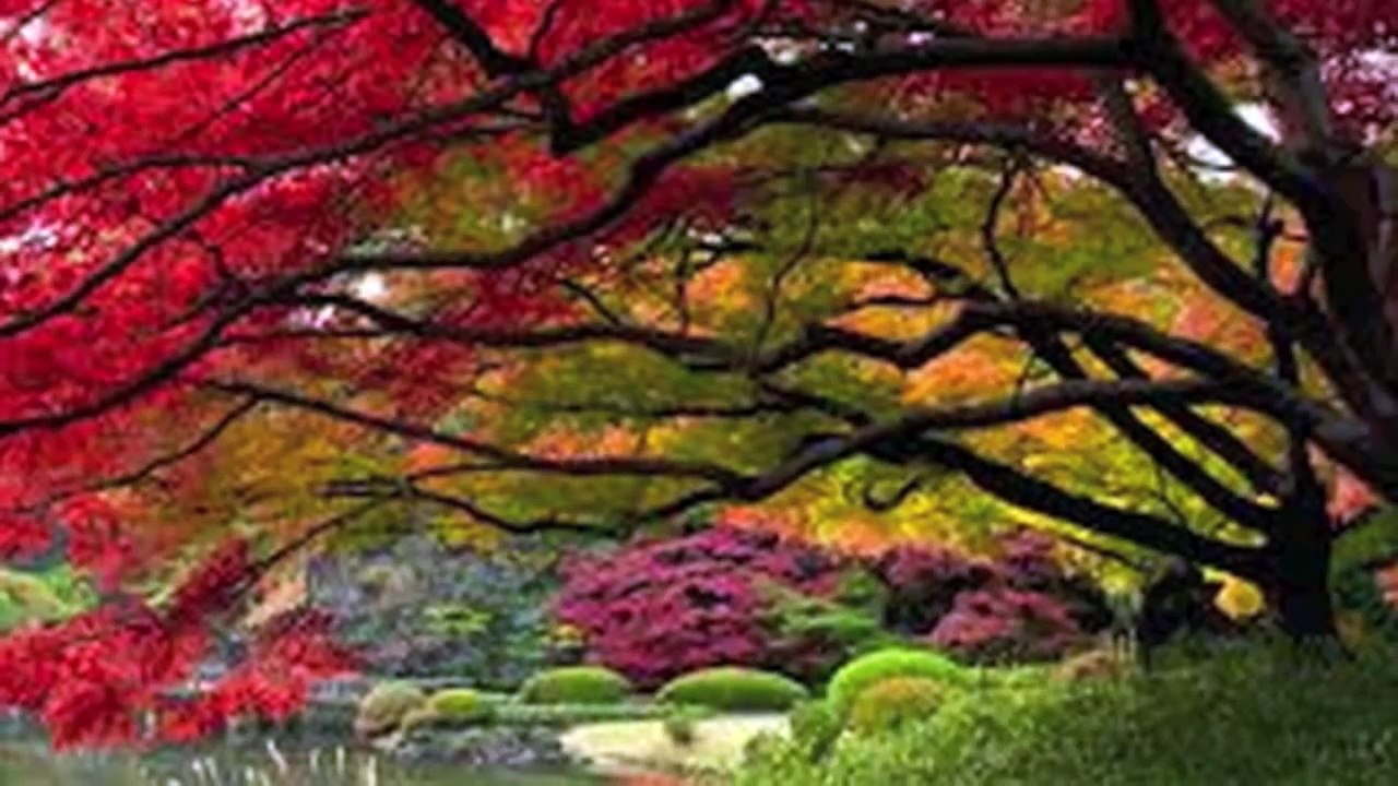 I Give Myself Away Mike Oldfield