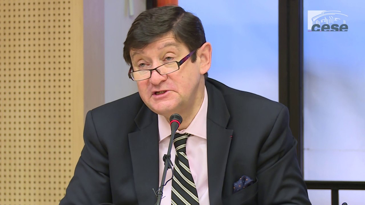 Audition de Patrick KANNER, Ministre de la ville, de la jeunesse et des sports - cese