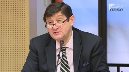 Audition de Patrick KANNER, Ministre de la ville, de la jeunesse et des sports - cese