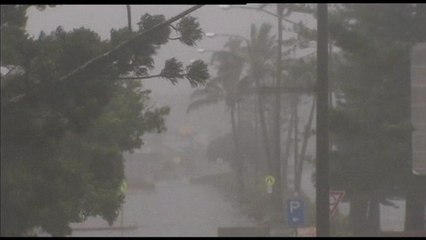 Australie: un violent cyclone frappe la côte est