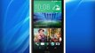 HTC One Mini 2 Smartphone 4G d?bloqu? 4.5 pouces Android 4.4 KitKat 16 Go USB Gris