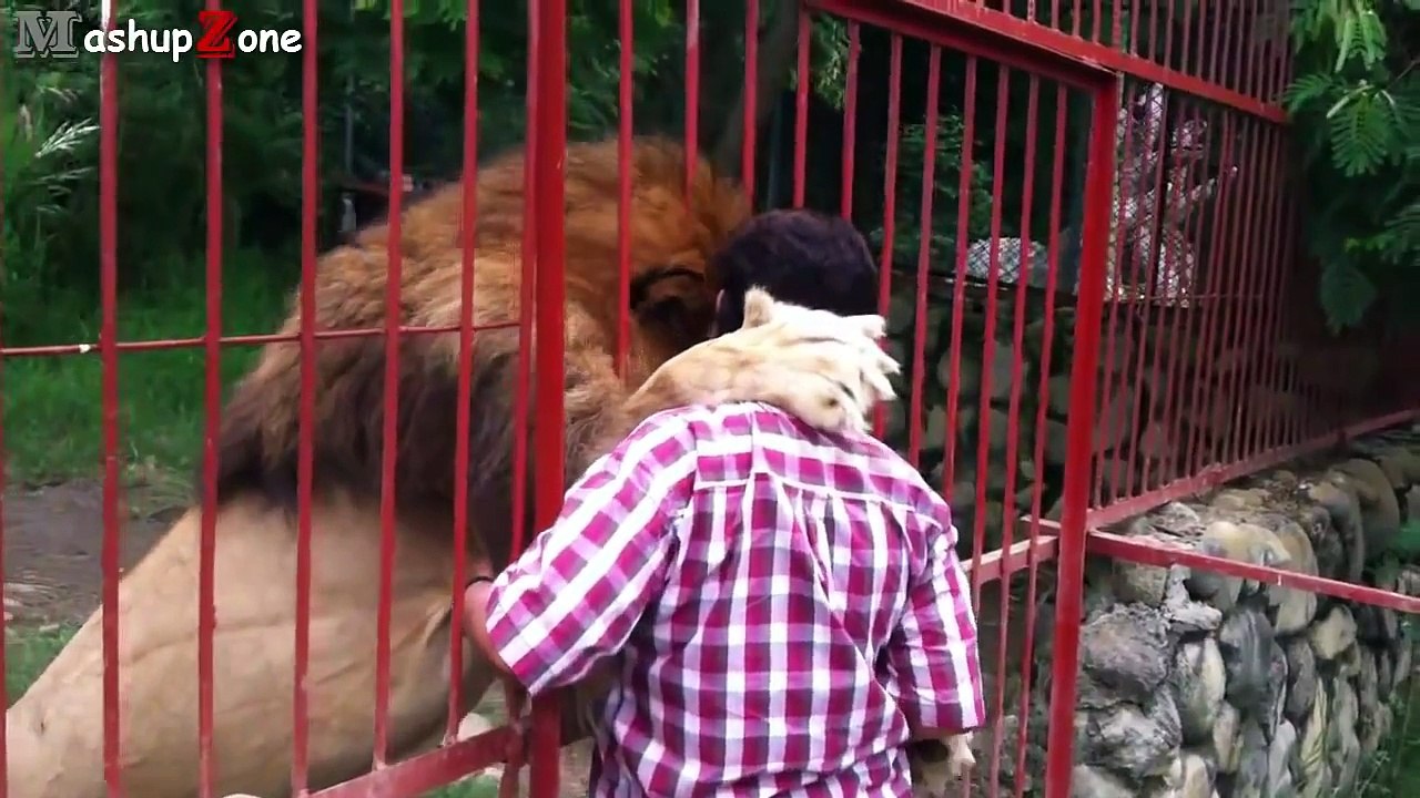 Best Fails of the Week 3 January 2015