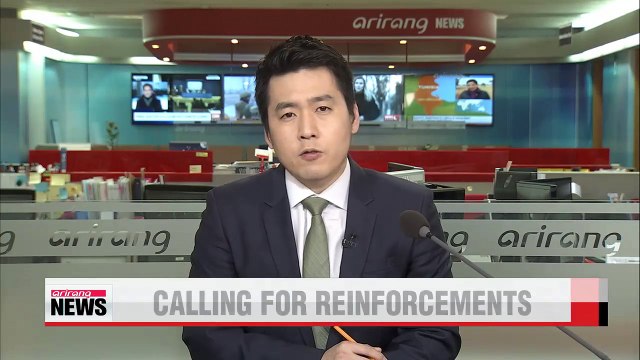 Ukraine seeks reinforcements to ensure ceasefire