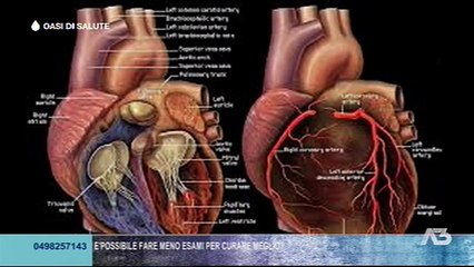 OASI DI SALUTE - 19-02-2015 (A3Replay)
