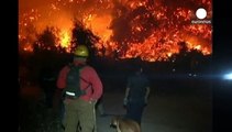 آتش سوزی در جنگلهای جنوب شیلی