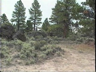 Oregon Video Map #6C (S.E. Oregon) Riley-Bend