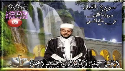 Surah Al-Fil  Splendid Recitation by Aissa Hajlaoui