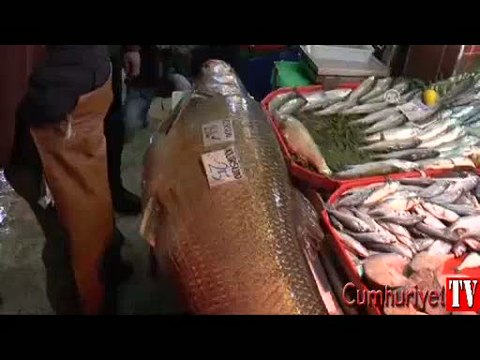 Baraj gölünde dev balık yakaladılar