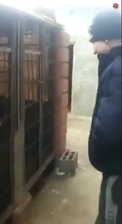 fallait pas chercher