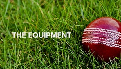 Americans Watching Cricket For The First time