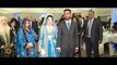 Asian Wedding Video - Wedding Reception - Walima - Highlights - 2015