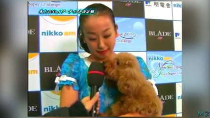 New year Figure 2007