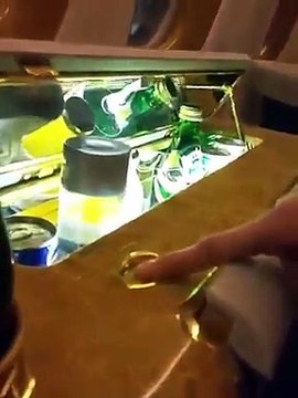 Waqar Zaka Trying To Flirt With an Emirates Air Hostess, See Her Reply to Waqar Zaka