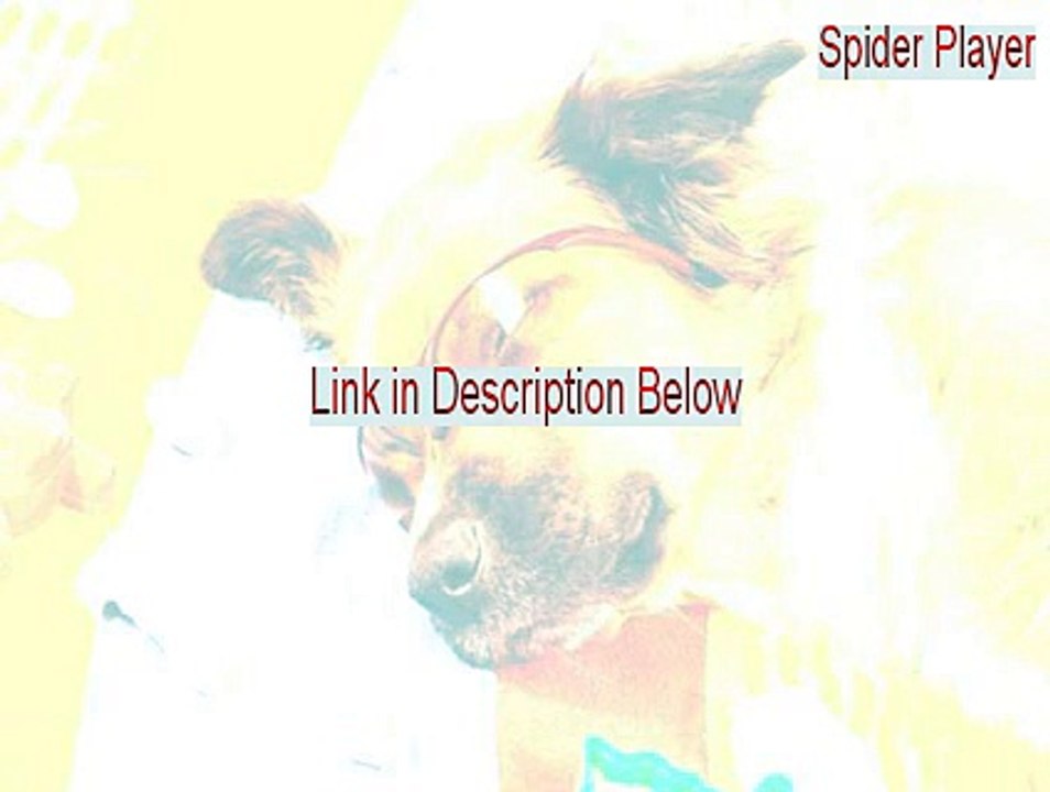 Spider Player Download [Download Here]