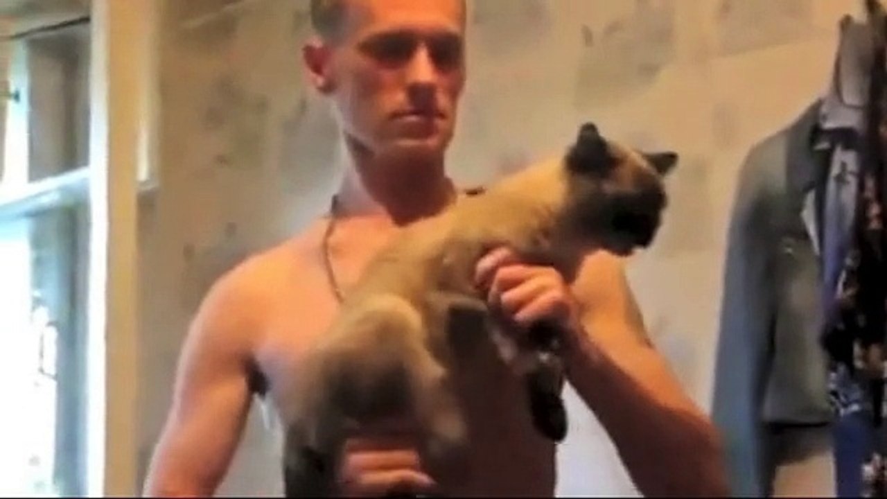 FUNNIEST CATS HQ