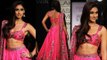 Oo La Laa Ileana D'Cruz in Pink Ghagra Choli Looks Very Hot & Gorgeous