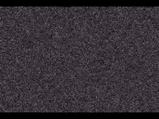 Systeman  -  (Live Annaba 08-2006)