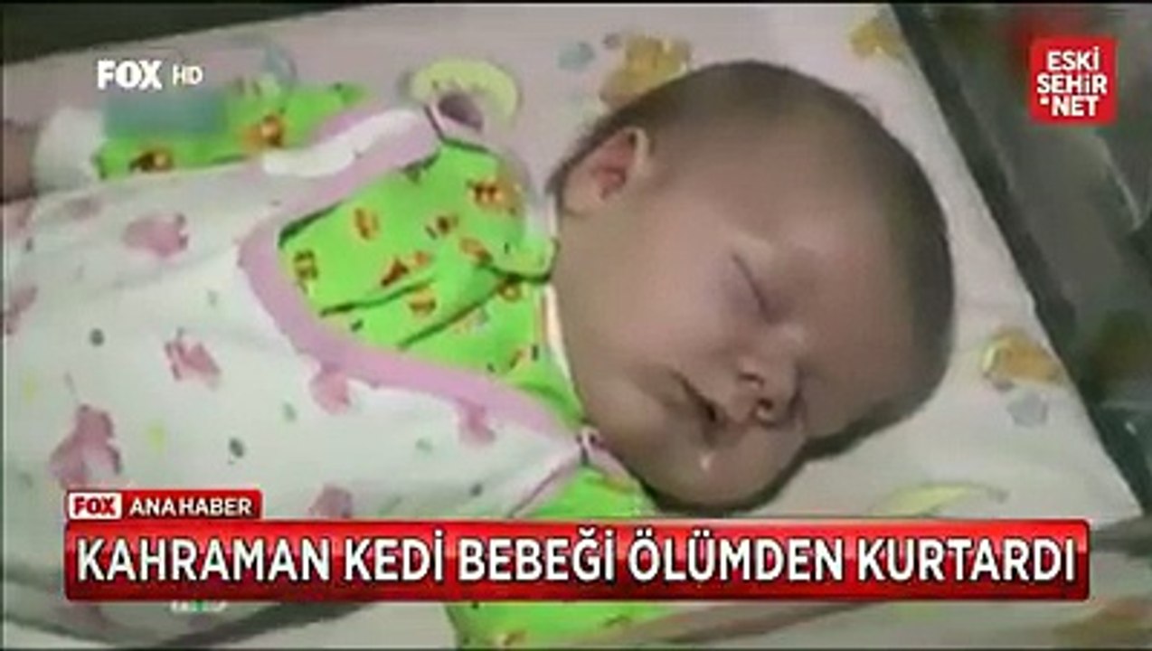 Bebeği Kurtaran Kahraman Kedi