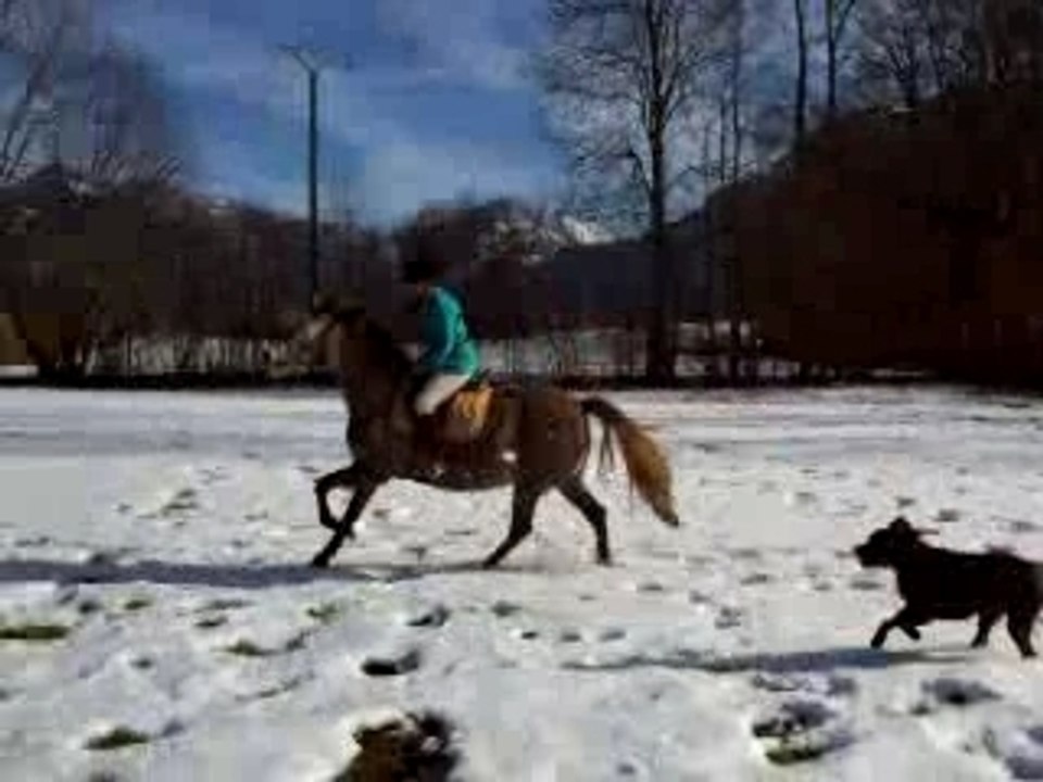 Dans la neige