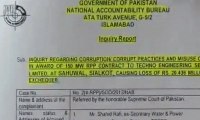 Nab report on Rental power projects scandal